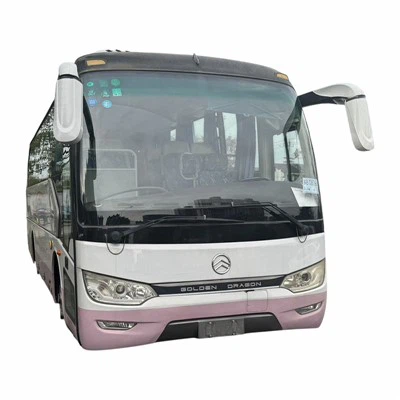 Belt Użat Xarabank Golden Dragon